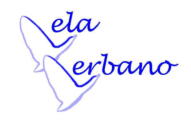 VelaVerbano